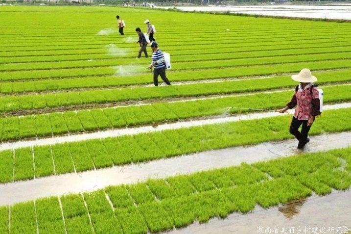 化零为整 充足粮草加强保障 贫困县整合涉农资金超1.5万亿元