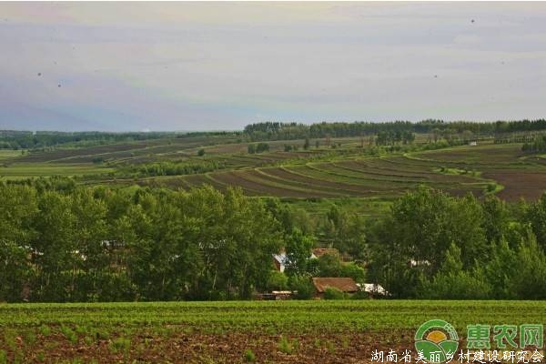 重磅！全国首个《农业生产托管服务规范》已发布