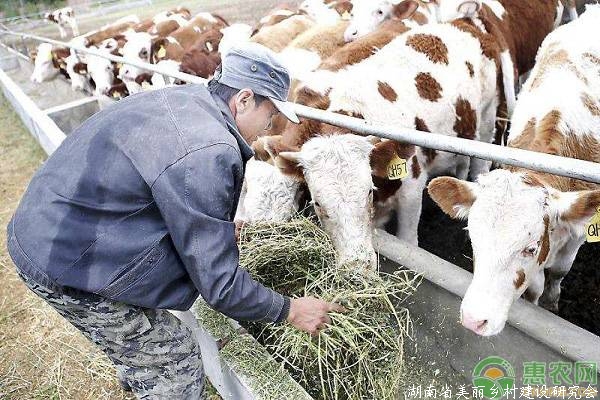 药用饲料添加剂退出对养殖业的影响