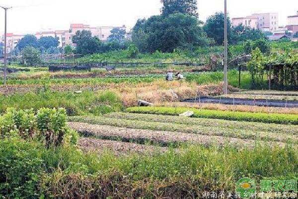 农村土地确权与不确权区别巨大，跟钱有很大关系！