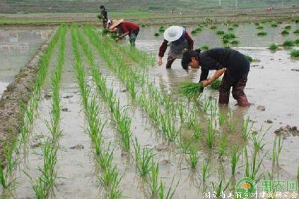 农村土地承包合同签字问题