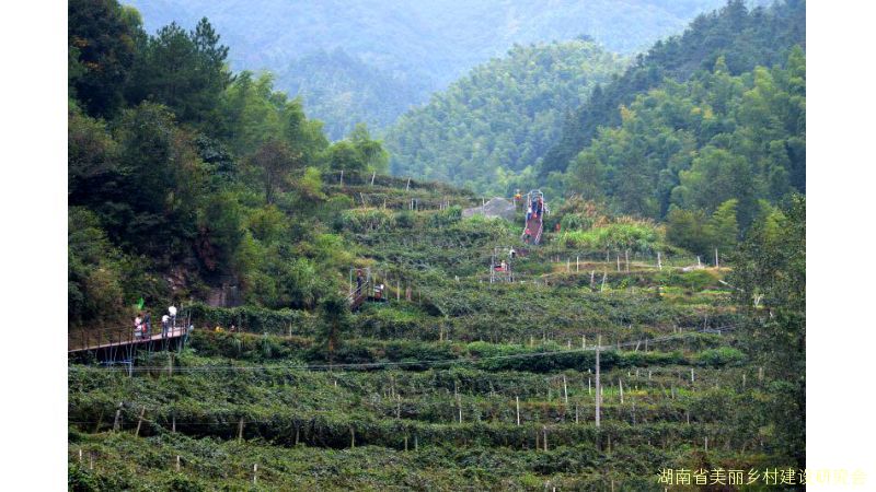 衡山县店门镇能仁村