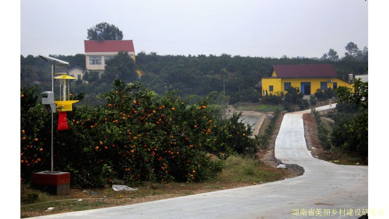 澧县复兴镇双堰村