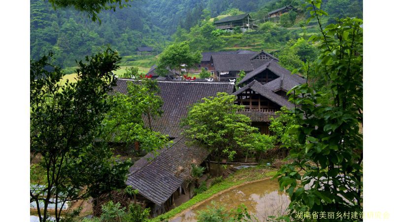 永定区王家坪镇马头溪村