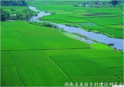 农业农村部 财政部发布重点强农惠农政策
